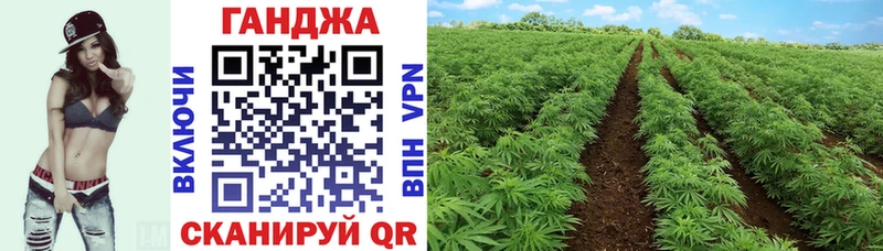 Где купить Ульяновск ГЕРОИН  Alpha-PVP  Меф  ГАШ 