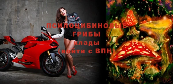 мяу мяу мука Кулебаки