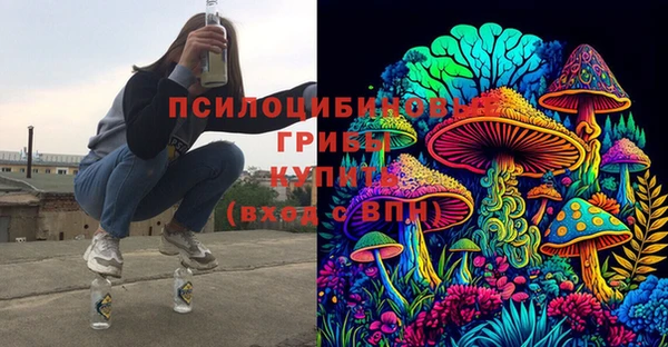 мяу мяу мука Кулебаки
