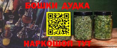 мдпв Абакан