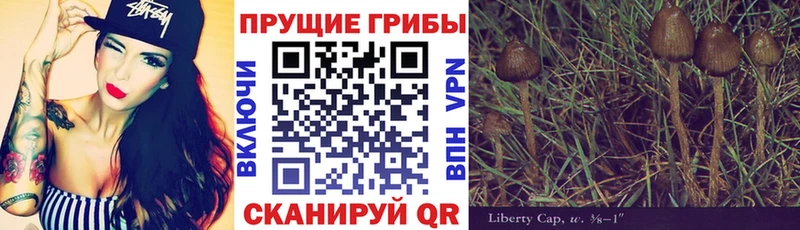 Псилоцибиновые грибы Magic Shrooms  Ульяновск 