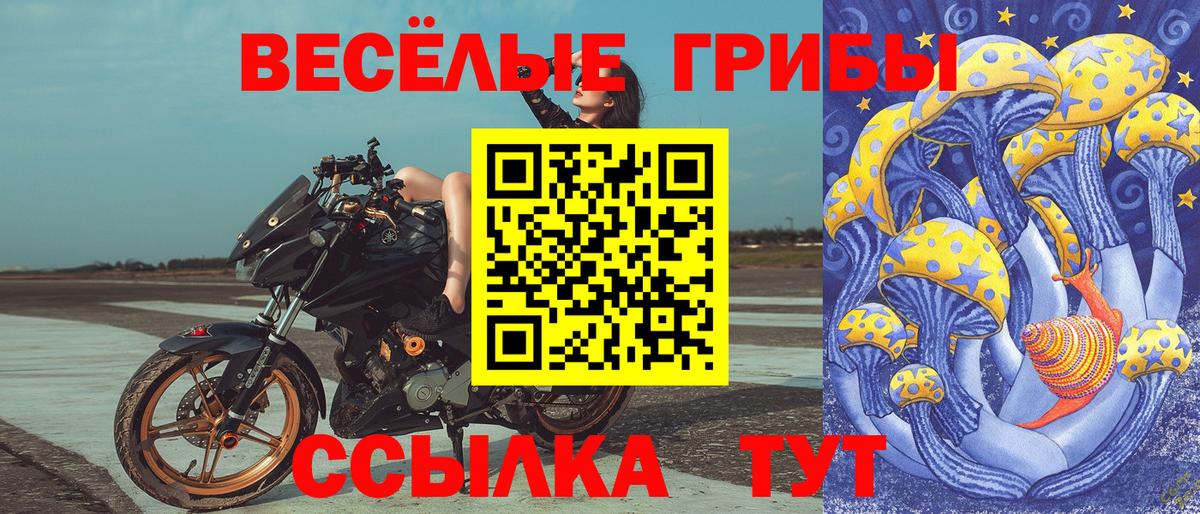 Псилоцибиновые грибы Magic Shrooms  Ульяновск 